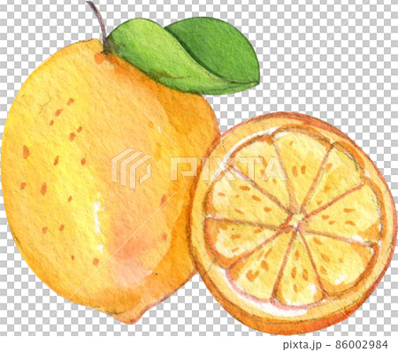 Kombucha concept.. Cartoon tea mushroom drink. Various bottles with ginger and sugar.watercolor cool summer vegan carbonated beverage collection Kombucha concept.. Cartoon tea mushroom drink. Various bottles with ginger and sugar.watercolor cool summer vegan carbonated beverage collection 86002984