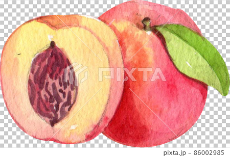 Kombucha concept.. Cartoon tea mushroom drink. Various bottles with ginger and sugar.watercolor cool summer vegan carbonated beverage collection Kombucha concept.. Cartoon tea mushroom drink. Various bottles with ginger and sugar.watercolor cool summer vegan carbonated beverage collection 86002985