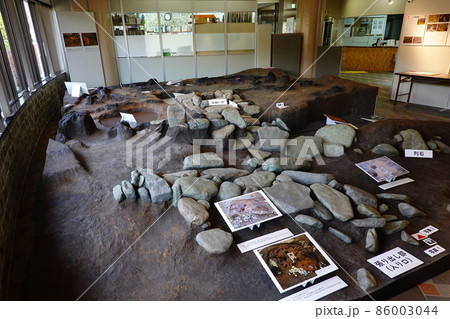 桜土手古墳公園　はだの歴史博物館 86003044