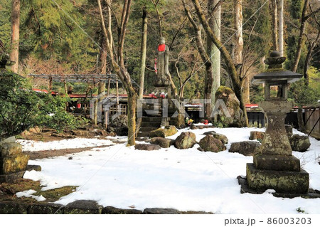 新春の谷汲山華厳寺散策・54（岐阜県揖斐郡揖斐川町谷汲） 86003203