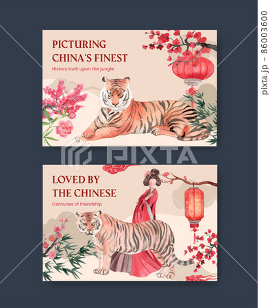 Facebook template with Chinese woman and tiger concept,watercolor style 86003600