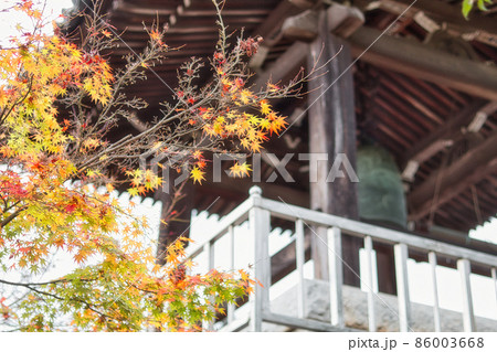 お寺の鐘と紅葉 86003668