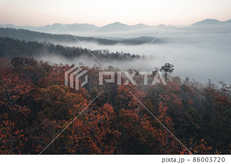 mountain scenery and trees in the autumn morning mountain scenery and trees in the autumn morning 86003720