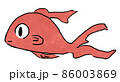 水彩調の横向きの赤い金魚のイラスト 86003869