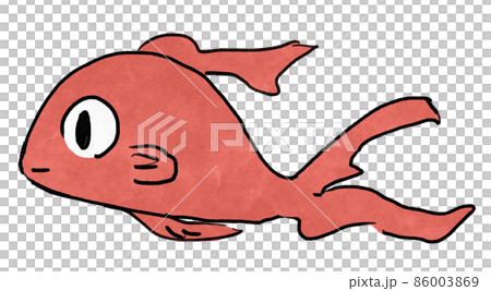 水彩調の横向きの赤い金魚のイラスト 86003869