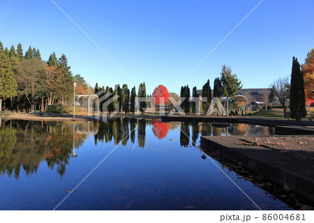 秋の北欧の杜公園 86004681