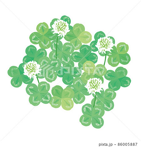 四つ葉のクローバーとシロツメクサ イラストのイラスト素材