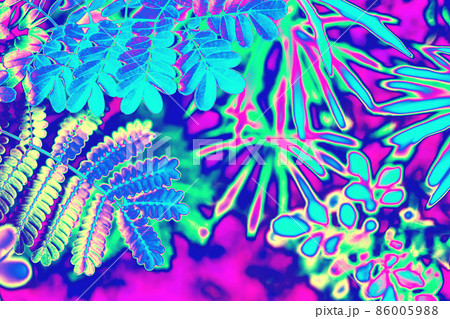 Neon colored tropical jungle rain forest leaves background Neon colored tropical jungle rain forest leaves background 86005988