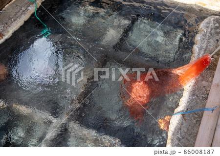 湯の峰温泉の湯筒で茹でる温泉卵 86008187