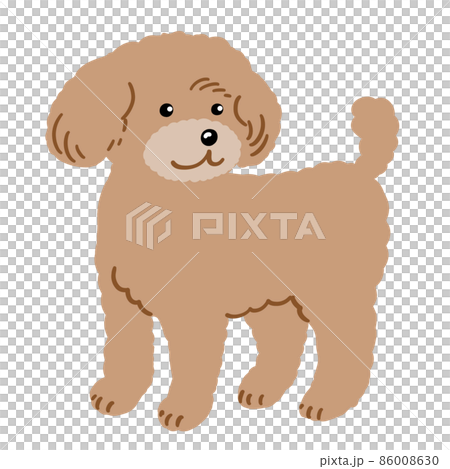 トイプードルのイラスト 86008630