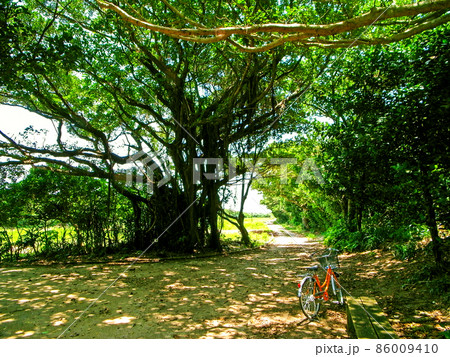 沖縄　神の島　久高島の風景 86009410