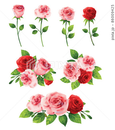 Pink rose flower set for valentines day in watercolor style. 86009425