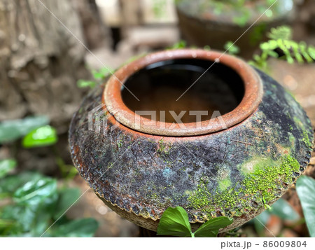 Big earthen jar made from clay covered with moss 86009804