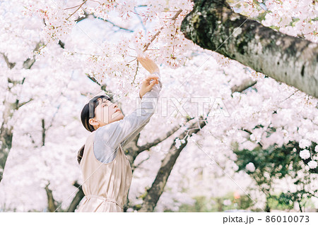 桜背景の女性ポートレート 86010073