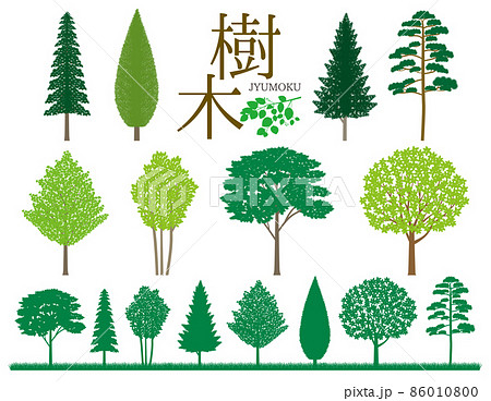 樹木イラストセット 86010800