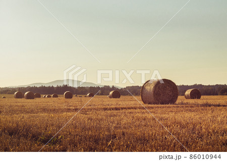Straw bales on a stubble field 86010944