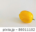 白背景で一個だけ転がっているレモン 86011102