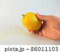 白背景で1つのレモンを手に持っている 86011103