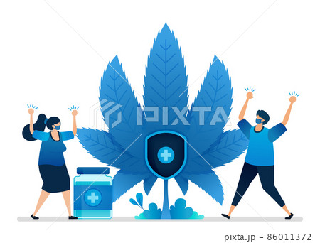 Cannabis vector illustration. Medical raw herbs for health research. Natural plant for education and industry. Can be used for landing page, website, web, mobile apps, flyer banner, template, poster 86011372