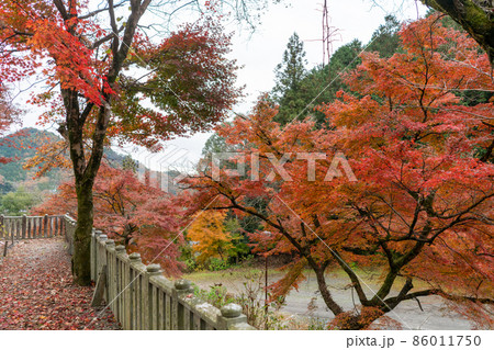 龍王山 三光寺 龍王山 三光寺 86011750