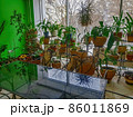 Interior of a green meeting room in a modern office 86011869