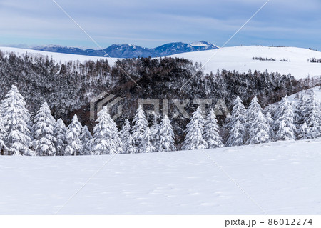 真冬の美ヶ原スノーハイク 86012274
