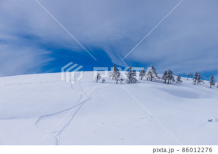 真冬の美ヶ原スノーハイク 86012276