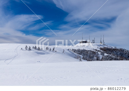 真冬の美ヶ原スノーハイク 真冬の美ヶ原スノーハイク 86012279