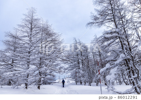 真冬の美ヶ原スノーハイク 真冬の美ヶ原スノーハイク 86012291
