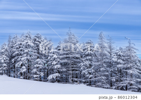 真冬の美ヶ原スノーハイク 86012304