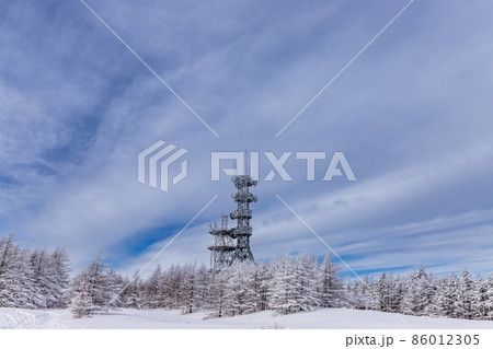 真冬の美ヶ原スノーハイク 真冬の美ヶ原スノーハイク 86012305