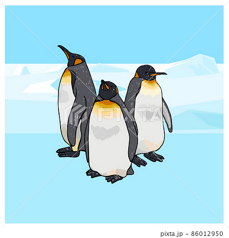 オウサマペンギン3匹 手描きイラストのイラスト素材