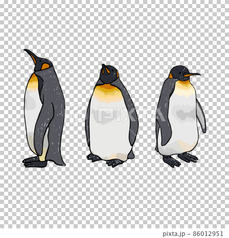 オウサマペンギン3匹　手描きイラスト 86012951