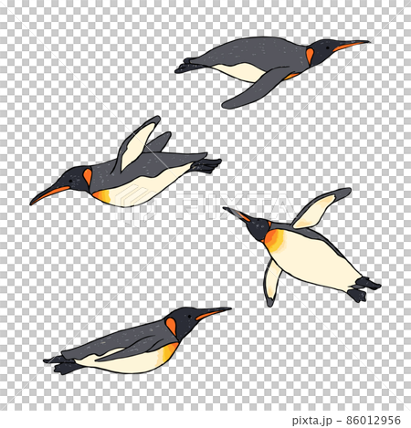 泳ぐオウサマペンギン 手描きイラスト セット 泳ぐオウサマペンギン 手描きイラスト セット 86012956