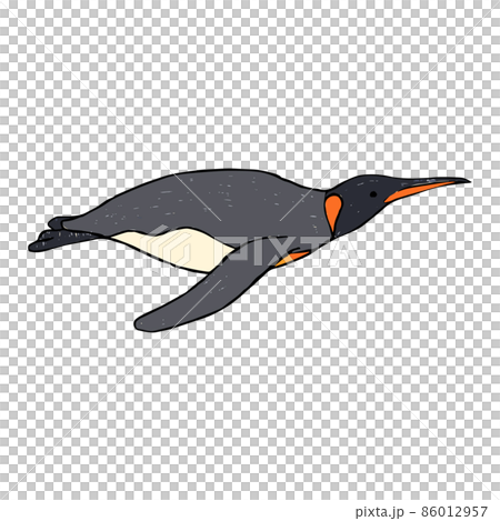 王企鵝游泳手繪插畫 86012957