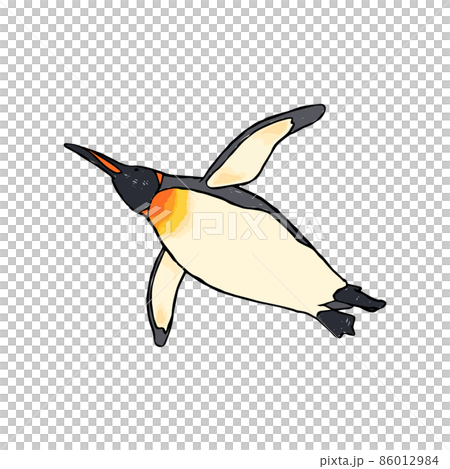 王企鵝游泳手繪插畫 86012984