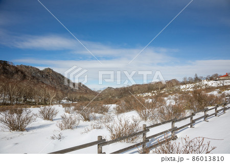 冬の赤城高原 白樺牧場 冬の赤城高原 白樺牧場 86013810