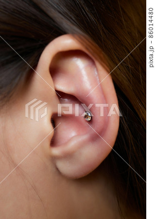 piercings on an ear. Conch and helix piercings close up. 86014480