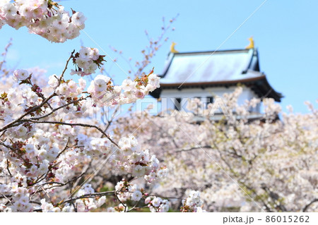 北海道 松前 春の松前城 北海道 松前 春の松前城 86015262