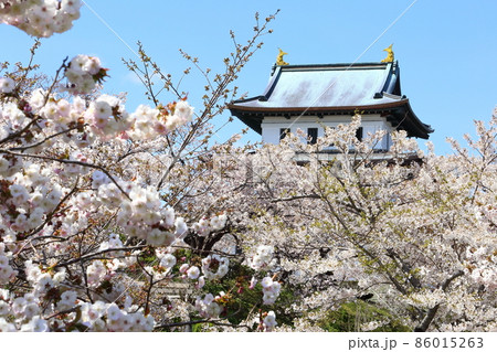 北海道 松前 春の松前城 北海道 松前 春の松前城 86015263