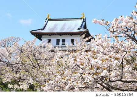北海道 松前 春の松前城 北海道 松前 春の松前城 86015264