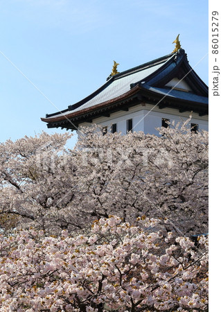 北海道 松前 春の松前城 北海道 松前 春の松前城 86015279