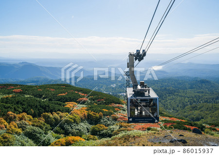 日本一早く紅葉が見られる場所 (日本 - 北海道 - 旭岳) 86015937