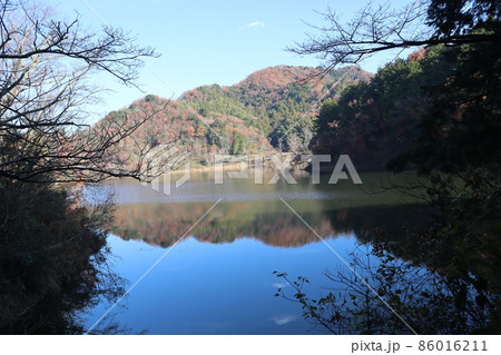 冬枯れの樹と草木の先に紅葉した木々の山と青空と薄雲を写す水面の池の見える風景 86016211