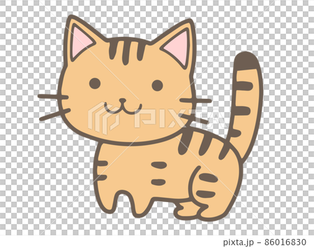手描きのトラ猫のイラストのイラスト素材 [86016830] - PIXTA