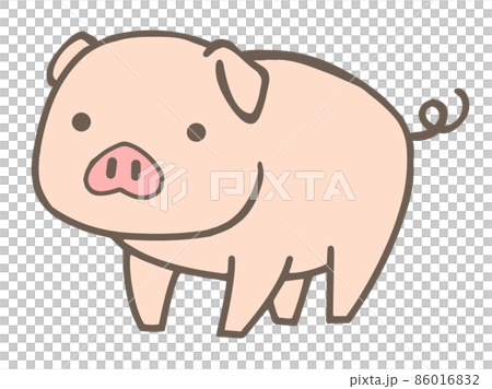 Hand drawn pig illustration 86016832