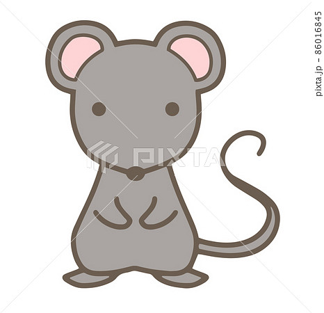 手描きのネズミのイラストのイラスト素材
