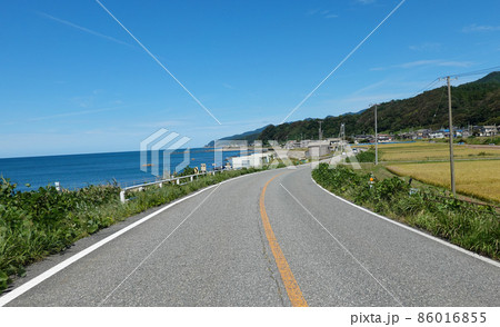 サケを呼ぶ森　三面川河口付近の魚つき保安林（新潟県村上市） 86016855
