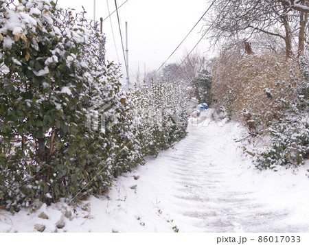 降雪 家 目 86017033