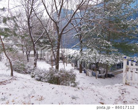 降雪 家 目 86017112